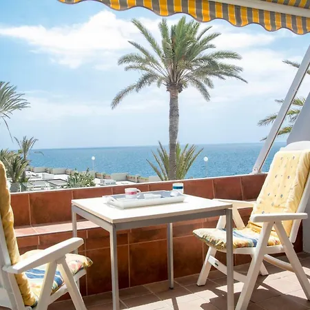Amazing Seasights - Tenerife *