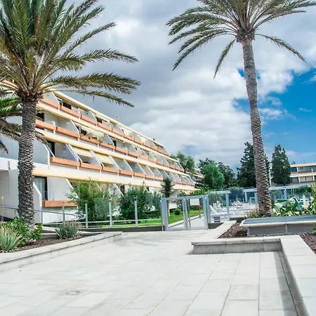 Amazing Seasights - Tenerife