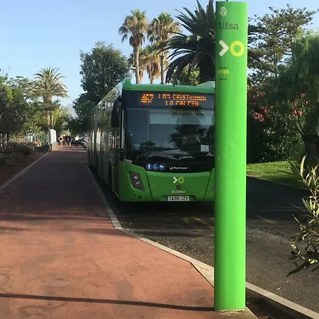 Amazing Seasights - Tenerife *